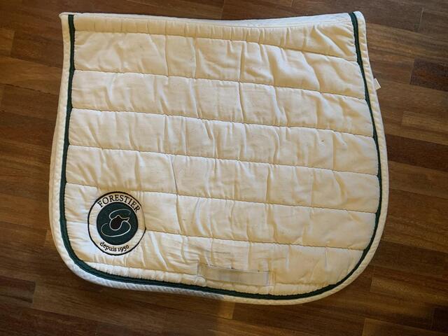 Tapis blanc forestier