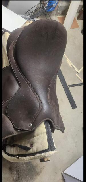 Selle wintec