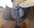 Selle prestige Versailles 17´´