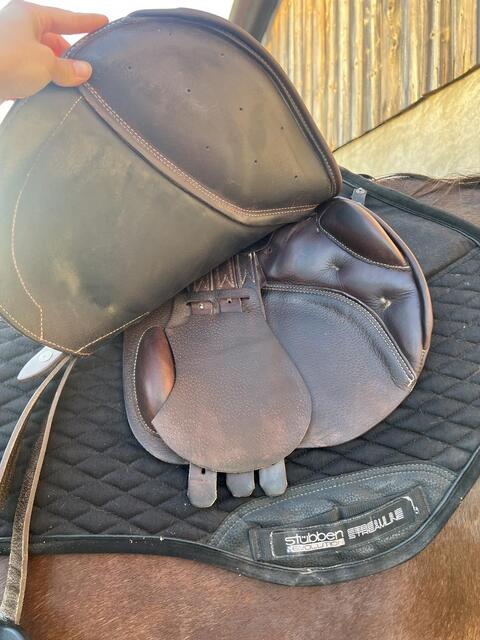 Selle prestige Versailles 17´´