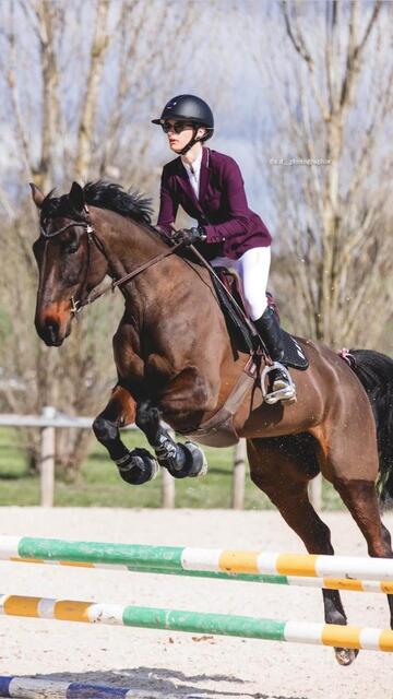veste samshield Crystal fabric prune