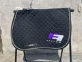 Tapis Noir Factum Finance