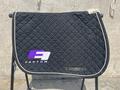 Tapis Noir Factum Finance