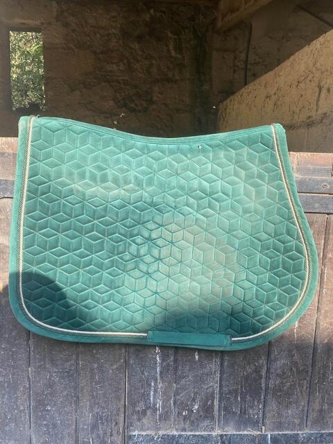 tapis Kentucky vert