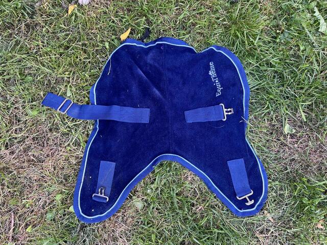couverture polaire chien