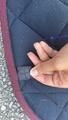 (négociable) Tapis Mesh Horse Pilot