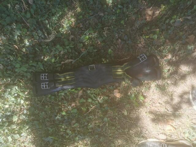 Selle de dressage