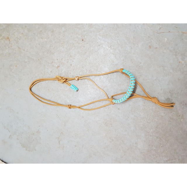 Licol ethologique