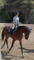 Tapis + bonnet equiline