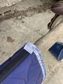 Tapis gem bleu fleurs