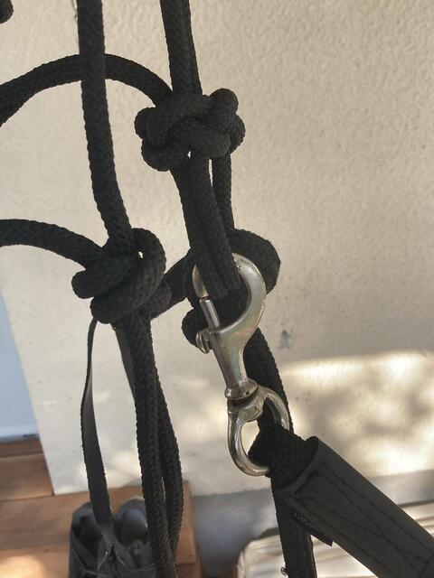 Licol éthologique noir taille double poney/petit cheval