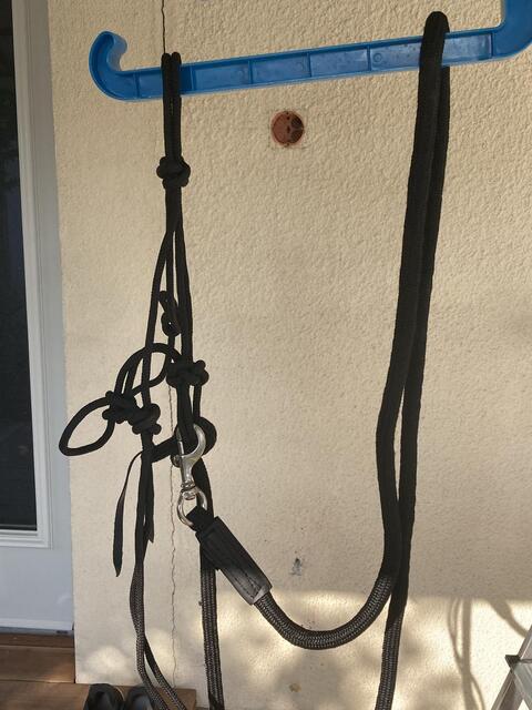 Licol éthologique noir taille double poney/petit cheval