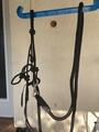 Licol éthologique noir taille double poney/petit cheval