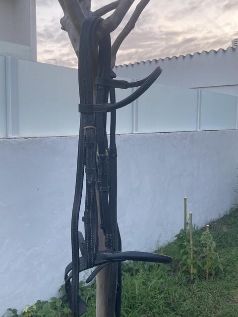 Filet noir TdeT taille COB