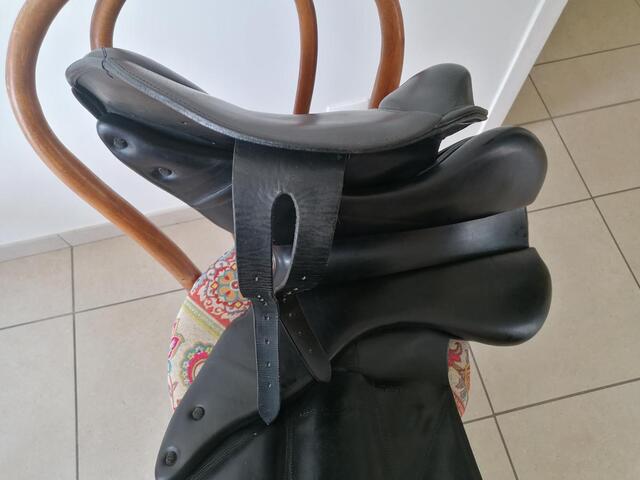 Selle Boeckelo 17 p