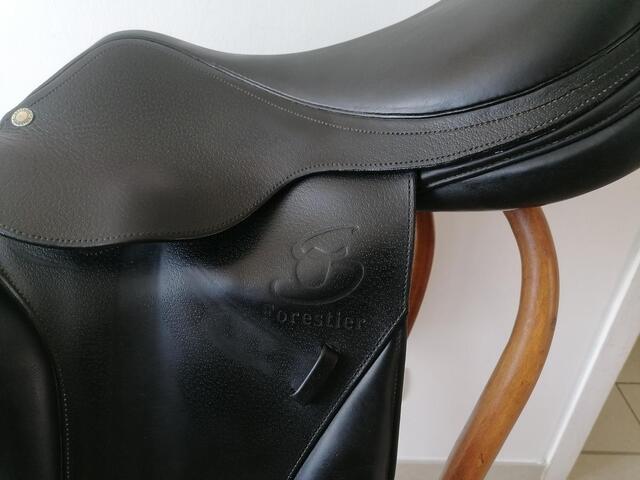 Selle Boeckelo 17 p