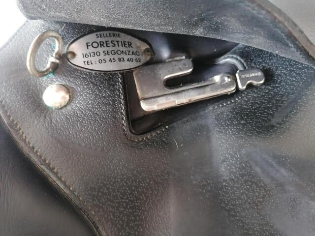 Selle Boeckelo 17 p