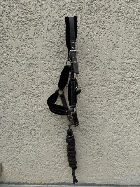 Licol Fouganza