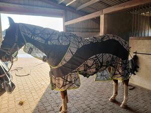 Chemise Horseware camofly 3 en 1