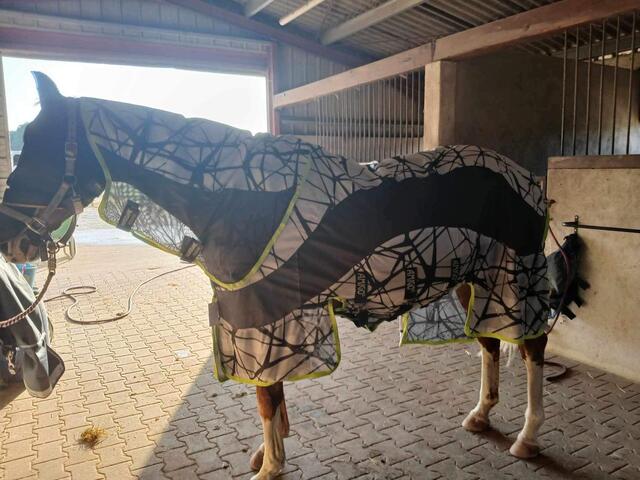 Chemise Horseware camofly 3 en 1