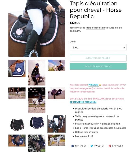 Tapis Horse Republic