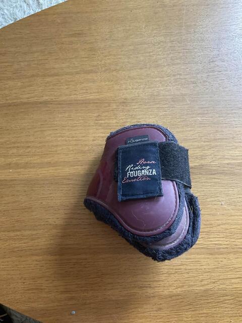 protection cheval