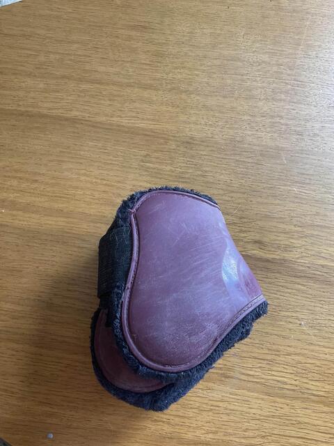 protection cheval