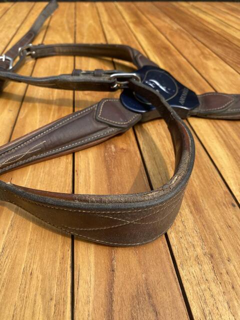 Collier de chasse Antares
