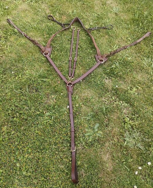 Collier de chasse