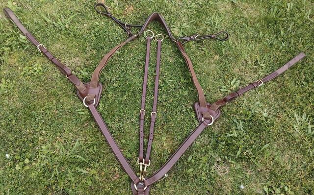 Collier de chasse