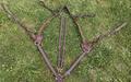 Collier de chasse