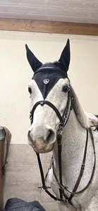 Bonnet cheval long