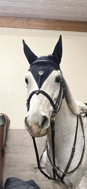 Bonnet cheval long