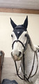 Bonnet cheval long