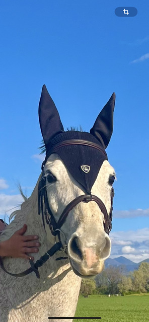 Bonnet cheval long