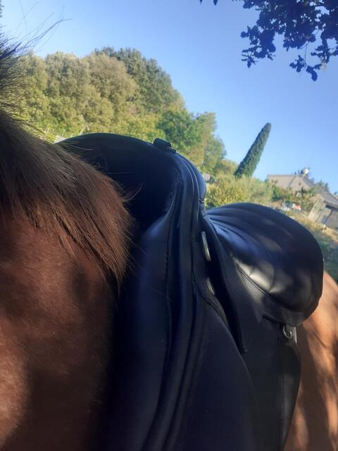 Selle Trec rando