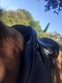 Selle Trec rando