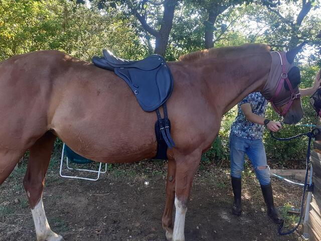 Selle Trec rando