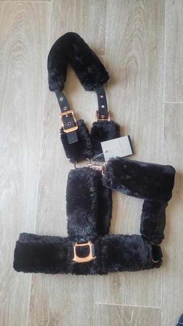 Licol moumoute noir
