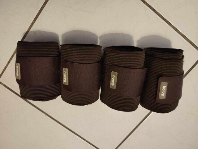 Bandes Polaires + Elastiques