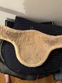 Bavette mouton
