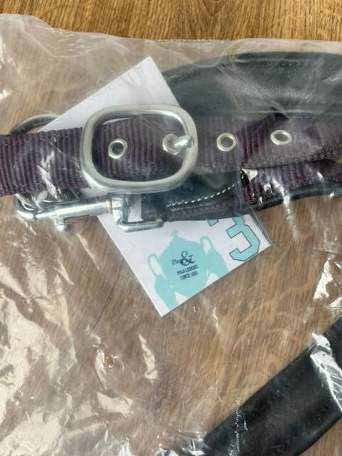 Licol Flags & Cup Nylon/cuir