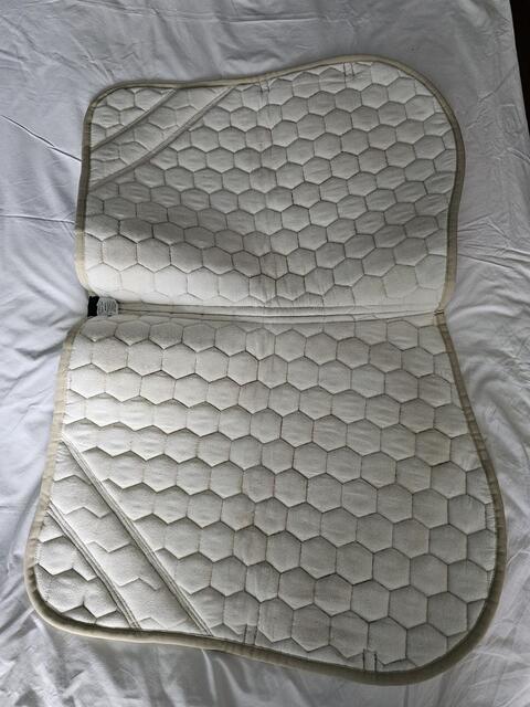 Tapis animo italia