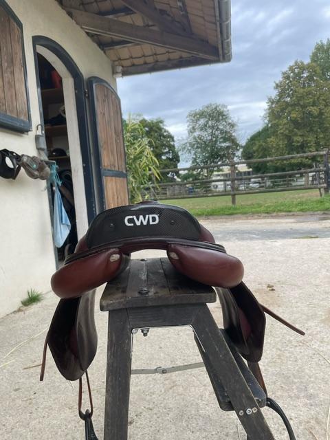 selle CWD 2GS