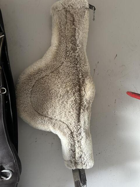 Sangle GBS mouton 130
