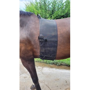 Ceinture de respect