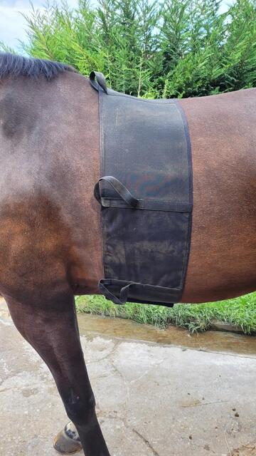 Ceinture de respect