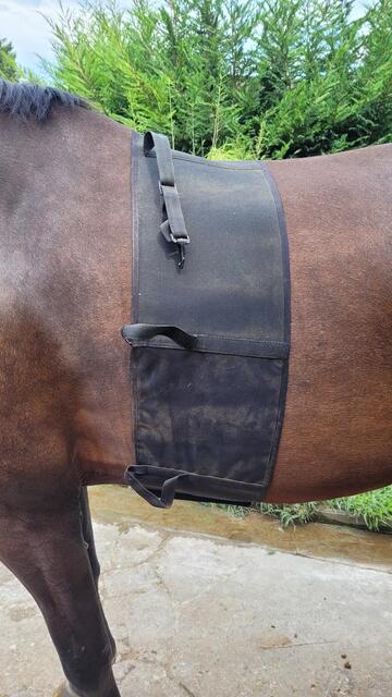 Ceinture de respect