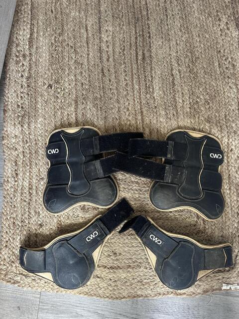 Protection CWD
