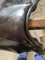 Selle prestige